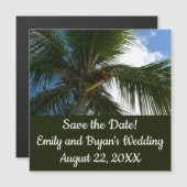 Blick auf die tropische Natur der Kokospalme Magnetkarte (Vorne/Hinten)