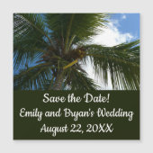 Blick auf die tropische Natur der Kokospalme Magnetkarte (Vorderseite)