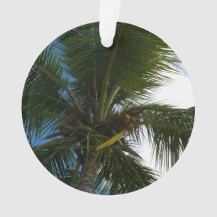Blick auf die tropische Natur der Kokospalme Ornament