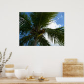 Blick auf die tropische Natur der Kokospalme Poster (Küche)