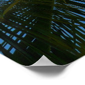 Blick auf die tropische Natur der Kokospalme Poster (Ecke)