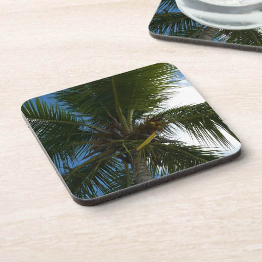Blick auf die tropische Natur der Kokospalme Untersetzer (Linke Seite)