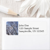 Blick auf die Wintermorgendliche Bäume (Insitu)