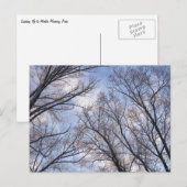 Blick auf die Wintermorgendliche Bäume Postkarte (Vorne/Hinten)