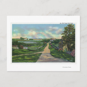 Blick auf eine alte Cape Cod Lane Postkarte