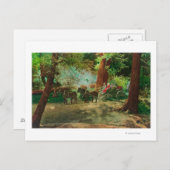 Blick auf eine Bühne Coach unter den großen Bäumen Postkarte (Vorne/Hinten)