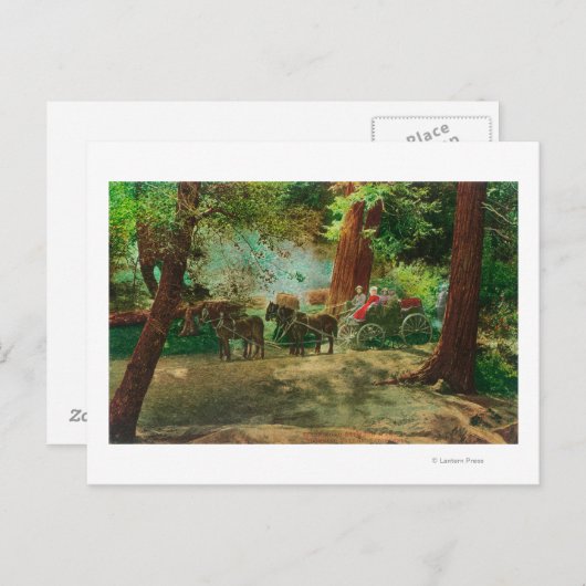 Blick auf eine Bühne Coach unter den großen Bäumen Postkarte (Vorne/Hinten)