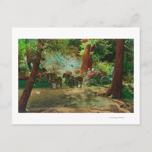 Blick auf eine Bühne Coach unter den großen Bäumen Postkarte (Vorderseite)