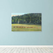 Blick auf eine Wildweide-Packung Leinwanddruck (Insitu (Holzboden))