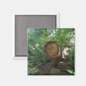 Blick auf einen Baum Magnet (Vorderseite/Rückseite)