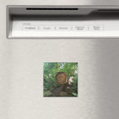 Blick auf einen Baum Magnet (In Situ (Geschirrspüler))