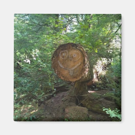 Blick auf einen Baum Magnet (Vorne)