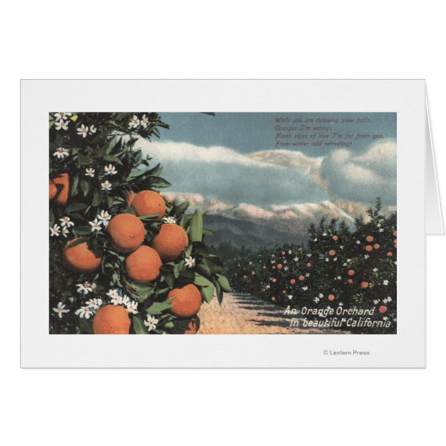 Blick auf einen orangefarbenen Obstgarten mit Berg (Vorderseite (Horizontal))