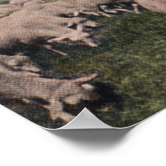 Blick auf einen Zeppelin Blimp über das Weideschaf Poster (Ecke)