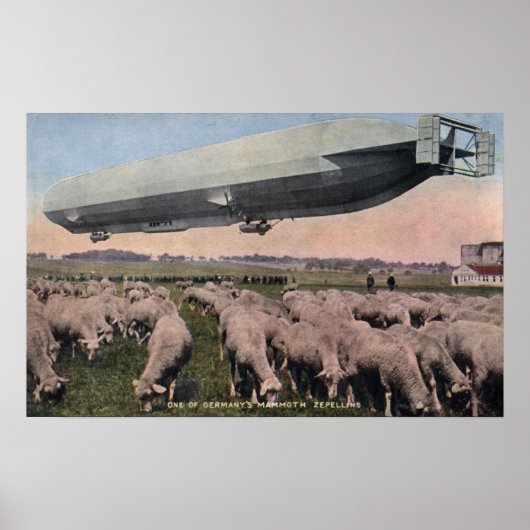 Blick auf einen Zeppelin Blimp über das Weideschaf Poster (Vorne)