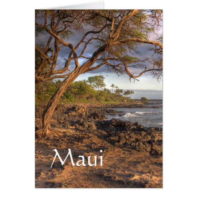 Blick auf Maui (Vorne)