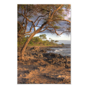 Blick auf Maui, Hawaii Fotodruck