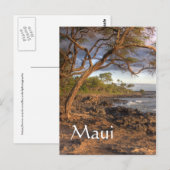 Blick auf Maui Postkarte (Vorne/Hinten)
