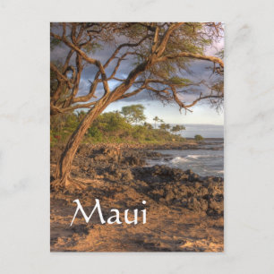 Blick auf Maui Postkarte