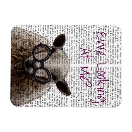 Blick auf Me DeNiro Sheep 2 Magnet (Horizontal)