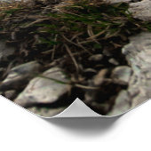 Blick auf neue Abenteuer Poster (Ecke)