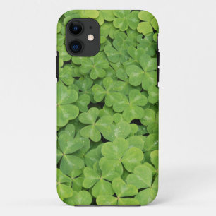 Blick auf Oxalis Oregana Wald Sauerklee Laub Case-Mate iPhone Hülle