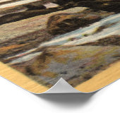 Blick auf Siegel Rocks mit Siegeln Poster (Ecke)