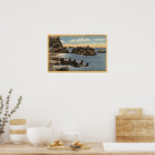 Blick auf Siegel Rocks mit Siegeln Poster (Küche)