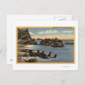 Blick auf Siegel Rocks mit Siegeln Postkarte (Vorne/Hinten)