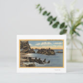 Blick auf Siegel Rocks mit Siegeln Postkarte (Stehend Vorderseite)