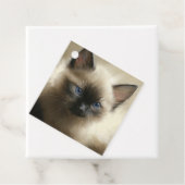 Blick auf Unschuld Siam Kitten Portrait Geschenk T Geschenkanhänger (Beispiel)