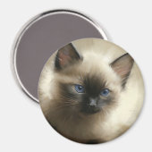 Blick auf Unschuld Siam Kitten Portrait Magnet (Vorderseite/Rückseite)