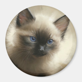 Blick auf Unschuld Siam Kitten Portrait Magnet
