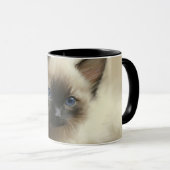 Blick auf Unschuld Siam Kitten Portrait Tasse (VorderseiteRechts)