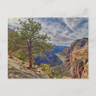 Blick auf Zion Canyon vom Angels Landing Postkarte