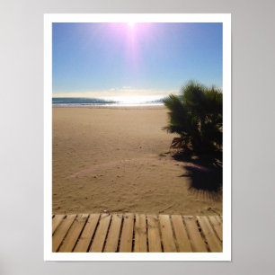 Blick aufs Meer, Strand, Palmenbaum, Boardwalk Poster