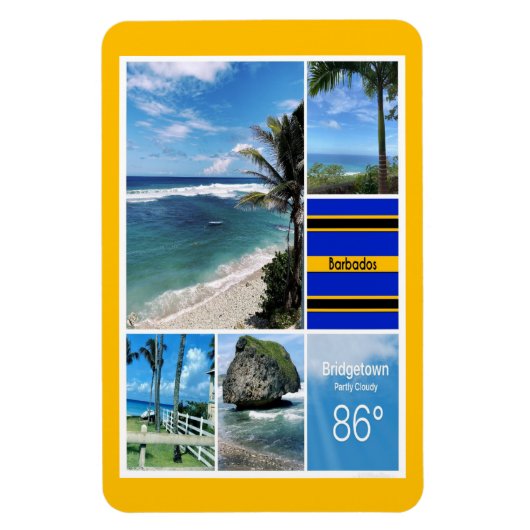 Blick aufs Meer von Barbados Magnet (Vertikal)