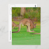 Blick aufs Zimmer Postkarte (Vorne/Hinten)