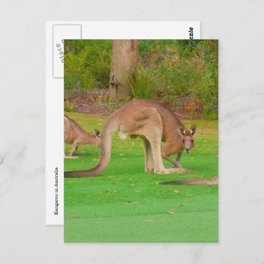 Blick aufs Zimmer Postkarte (Vorne/Hinten)