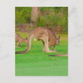 Blick aufs Zimmer Postkarte (Vorderseite)