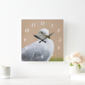 Blick aus der Uhr (Zuhause)