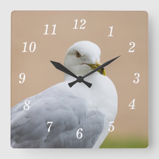 Blick aus der Uhr (Vorderseite)