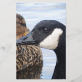 Blick Briefpapier (Vorderseite)