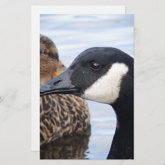 Blick Briefpapier (Vorne/Hinten)