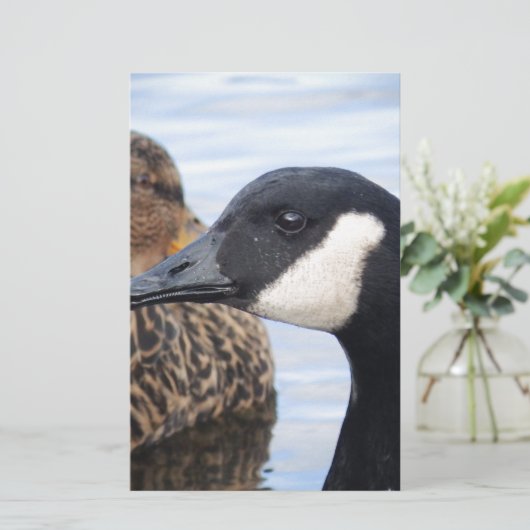 Blick Briefpapier (Stehend Vorderseite)