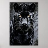 Blick des Schattens Poster (Vorne)