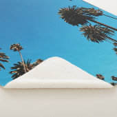 Blick des Wurms auf Bäume Sherpadecke (3/4)