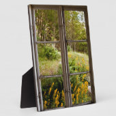 Blick durch altes Fenster Fotoplatte (Seite)
