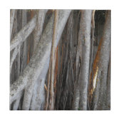 Blick durch den Banyan Tree Fliese (Vorderseite)