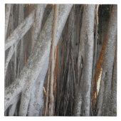 Blick durch den Banyan Tree Fliese (Vorderseite)